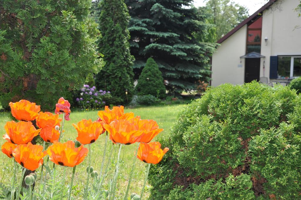 Be Well 3-Rooms Apartment With Parking And Garden Warschau Exterior foto
